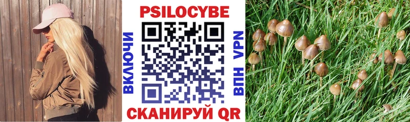гидра маркетплейс  купить наркотики сайты  Севастополь  Псилоцибиновые грибы ЛСД 