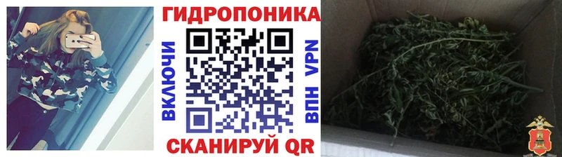 гидра как зайти  Севастополь  Каннабис OG Kush 